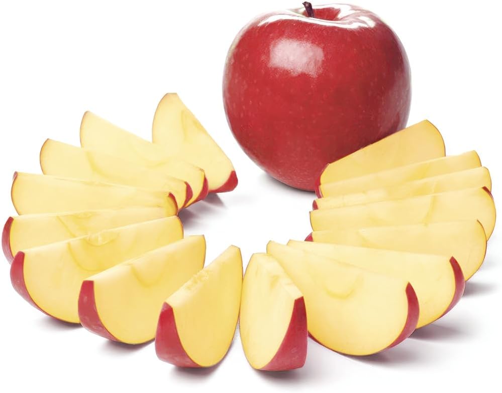 Apple Slicer and Corer,12‑Slice Stainless Steel,3 Forks & Brush