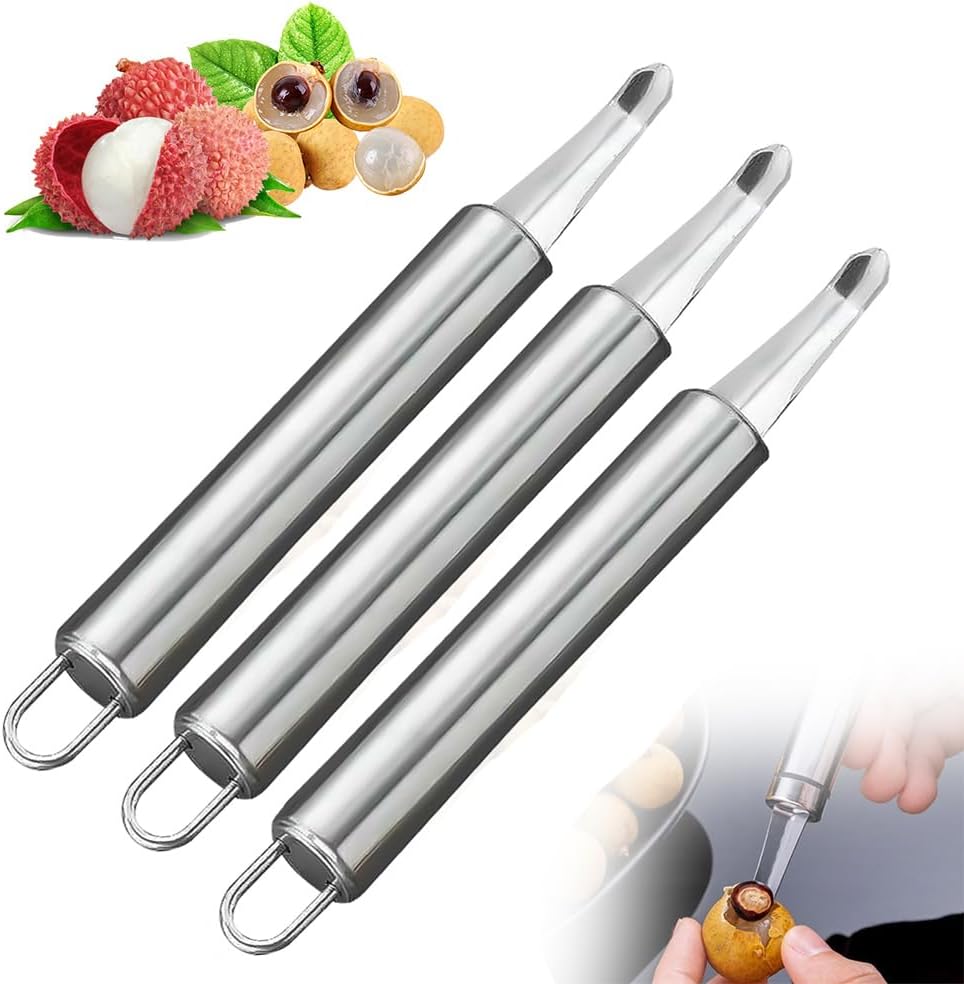 Stainless Steel Longan Corer, Household Handheld Fruit Core Pitter for Longan Lychee Cherry Jujube Seed Removal (3PCS)