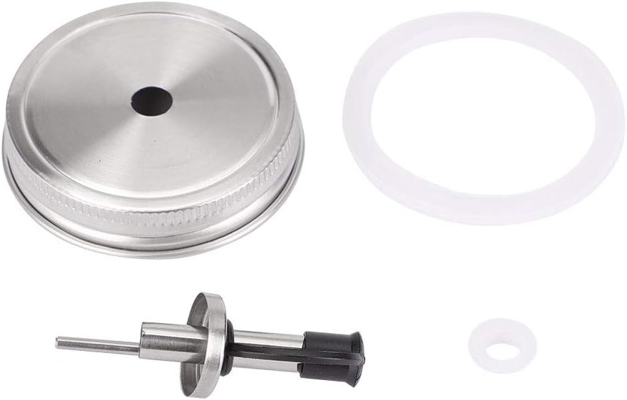 2pcs Stainless Steel Regular Mouth Mason Jar Pour Spout Lids with Plastic Caps for Olive Oil Cocktail Dispenser and Salad Dressing Shaker