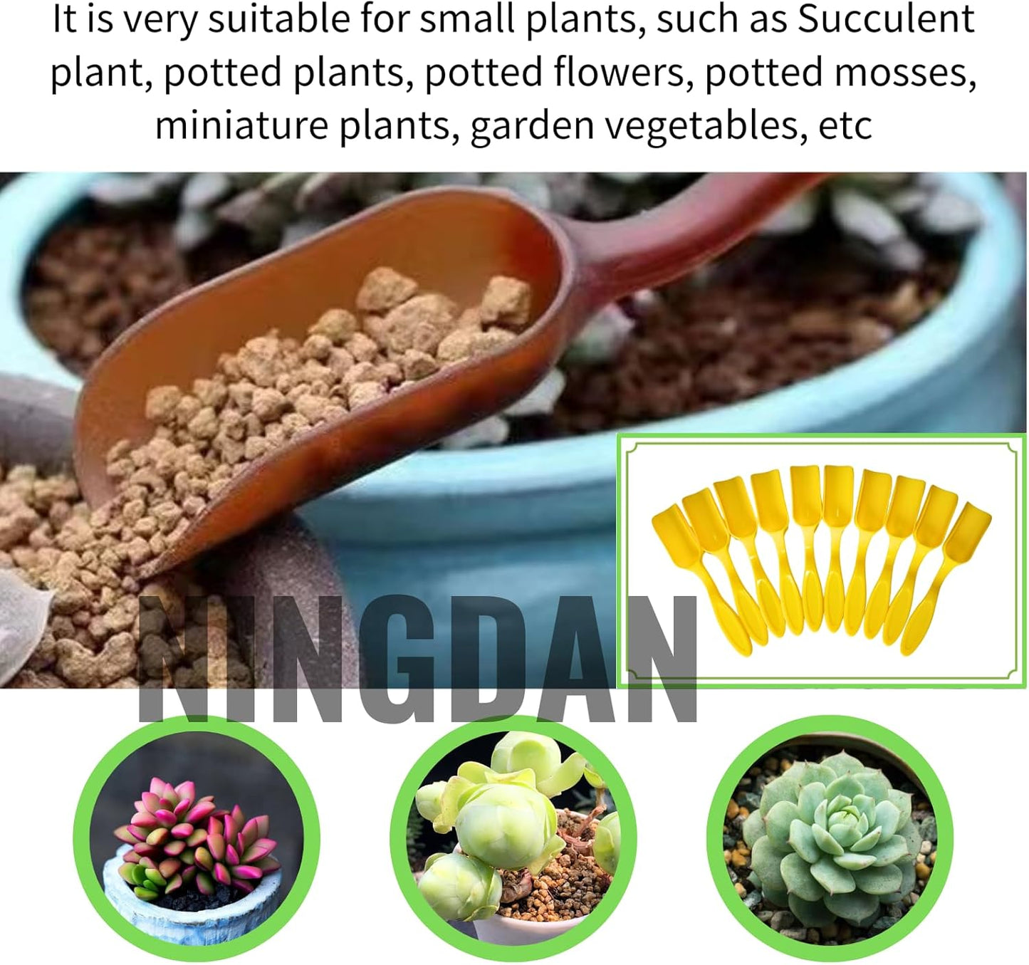 10Pcs NINGDAN Mini Shovel,Plastic Mini Gardening Shovel Spoons Soil Scoops,Cultivation Digging Transplanting Tools for Succulents Potted Flowers,Milk Powder/Coffee Beans Scoops (5 Colors)