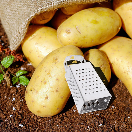 Toyvian Mini Stainless Steel Box Graters, 6pcs 4-Sided Multi-Function Vegetable Slicer and Shredder for Cheese Garlic Ginger and Carrots Compact Kitchen Tools
