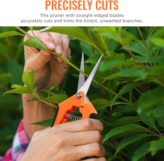 4 Pack Pruning Shears, 6.5 Inch Garden Scissors Gardening Hand Pruning Snips with Straight Stainless Steel Precision Blades for Gardening Flower Plant Precise Trimming and Pruning Maintenance