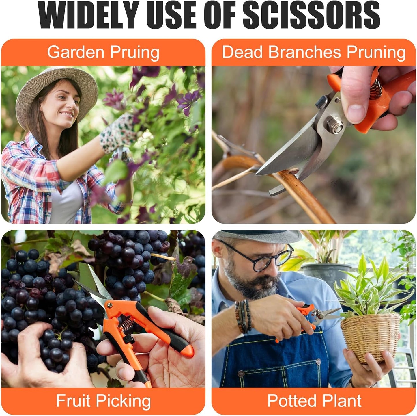 3 Pcs Garden Shears, Stainless Steel Gardening Scissors, Pruning Shears for Gardening, Pruning Scissors for Flowers Fruit Tree