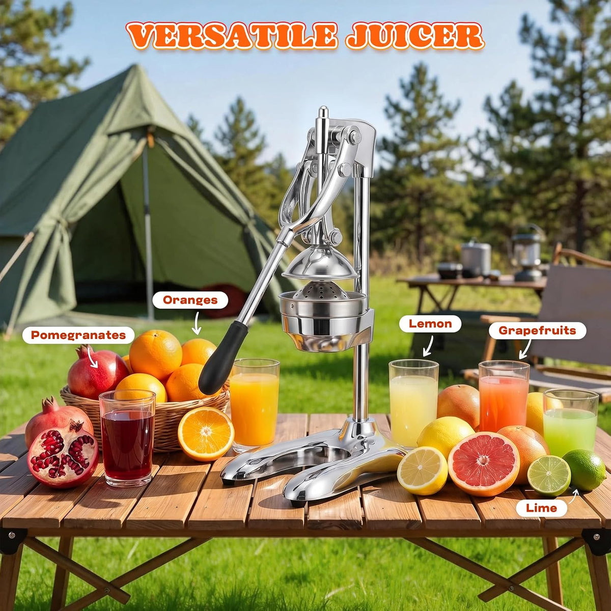 Commercial Manual Juicer, Heavy Duty Hand Press Juice Extractor