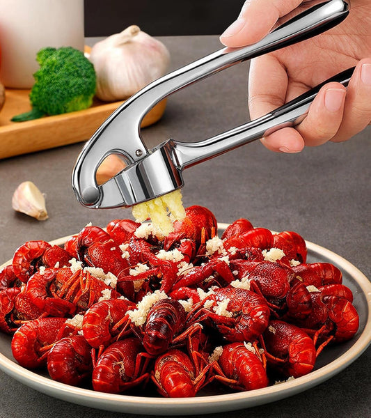 Stainless Steel Garlic Press Set Silicone Garlic Peeler & Brush, Heavy Duty Metal Garlic Mincer, Dishwasher Safe, Easy Clean (Regular Handle)