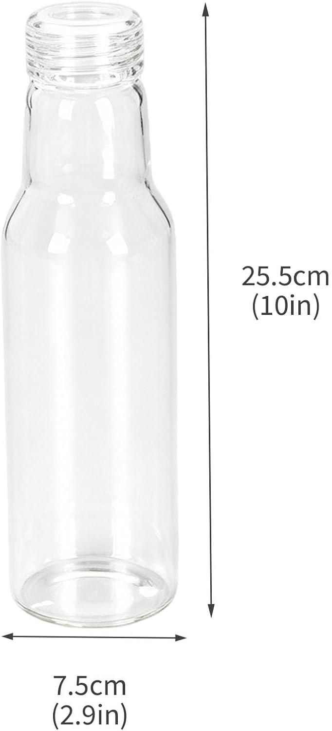 Salad Dressing Container 16 Oz Glass 2 Pack, Salad Dressing Shaker Bottle, Leakproof Glass Shaker Bottle for Oil Vinegar Kitchen Fridge Storage Meal Prep Lunch and On the Go