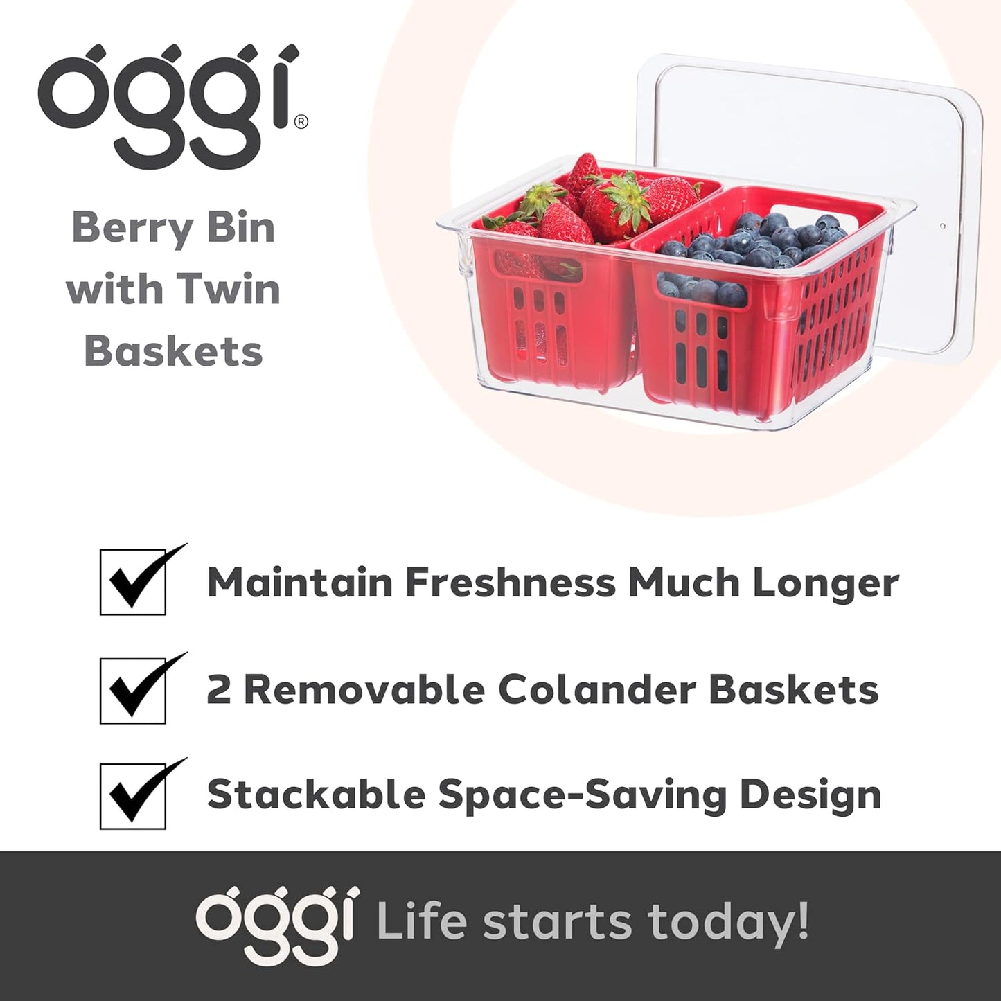 5169 Berry Bin - Single Basket, Red
