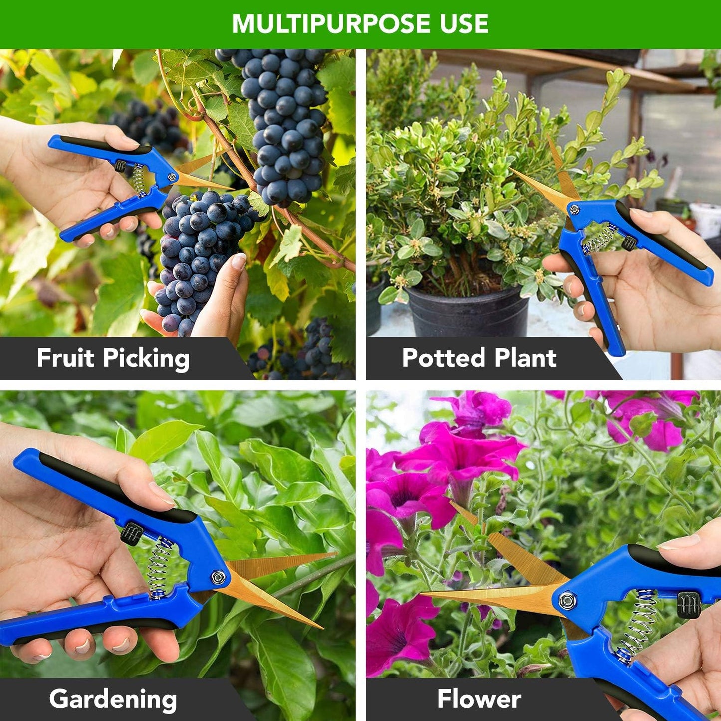 6.5 Inch Garden Hand Pruner Shears with Straight Stainless Steel Scissors, for Hydroponic Trimming Herb/Flowers/Vegetables/Plants, Blue, 1-Pack