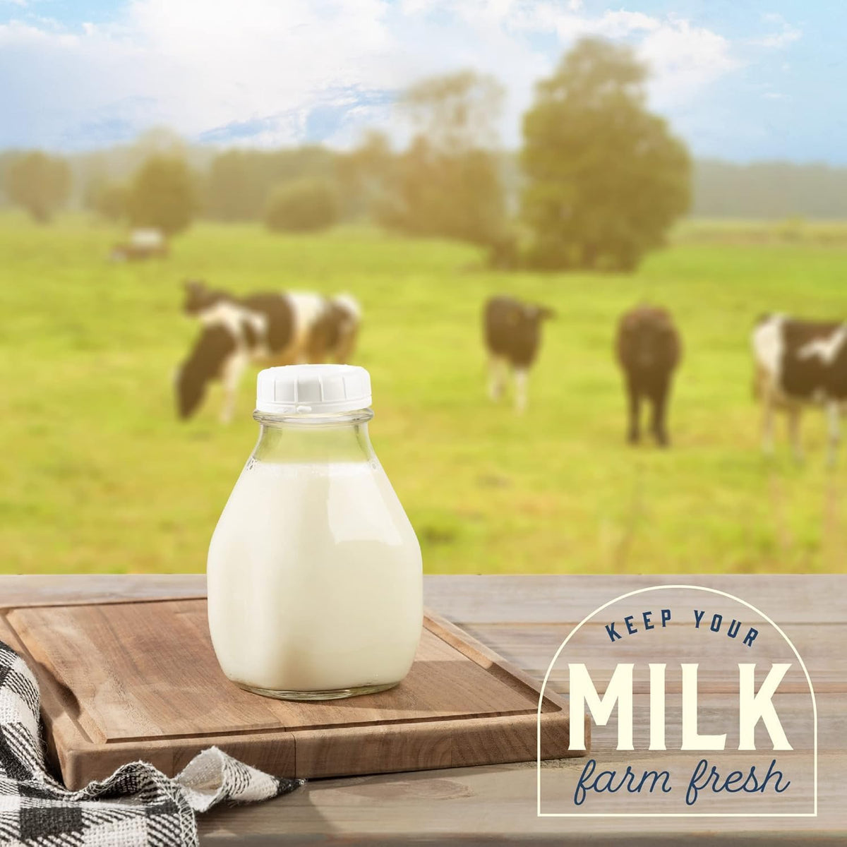 16 oz Glass Milk Bottle with Lid and Pour Spout – Small Glass Creamer Container for Refrigerator – Airtight Pint Milk Bottle for Coffee, Tea, and Liquid Storage