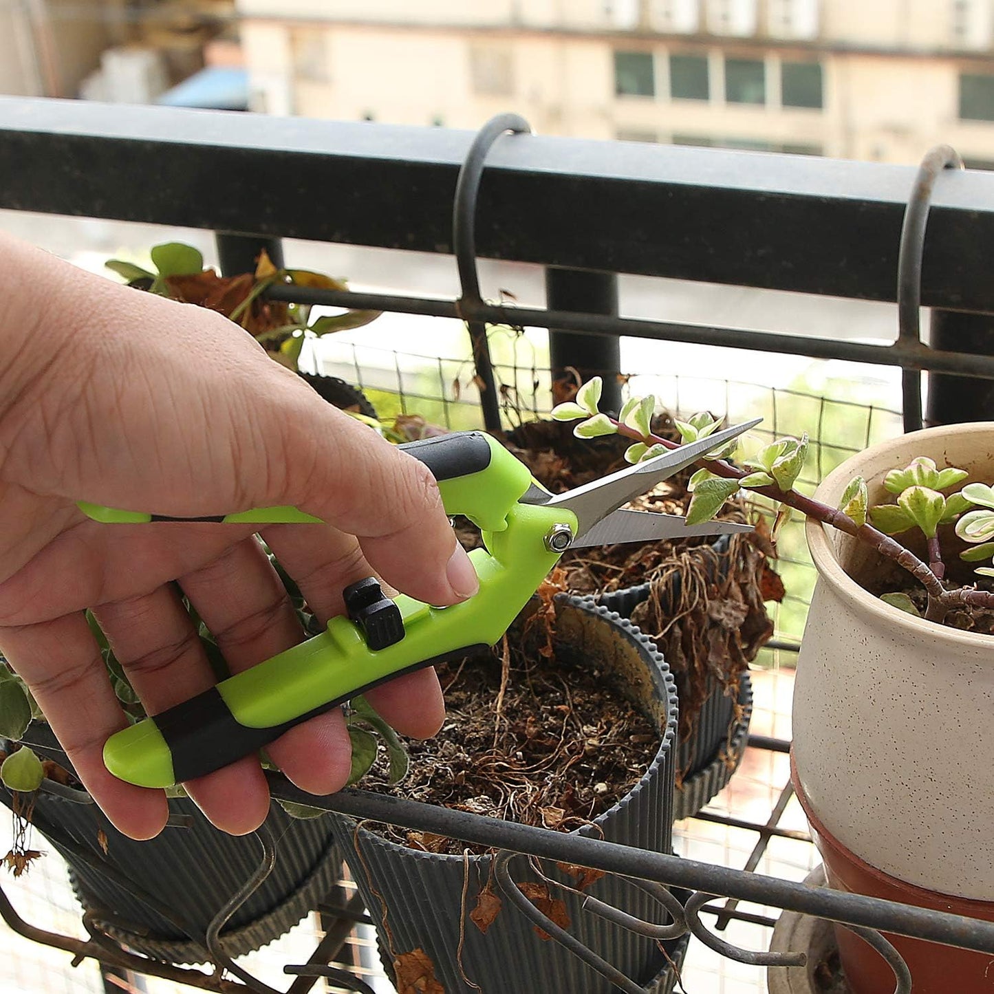 4 Pack 6.5 Inch Bud Trimming Scissors, Professional Stainless Steel Gardening Hand Pruners Micro-Tip Pruning Snips with Straight Blades for Trimming Garden Herb Plants Flowers