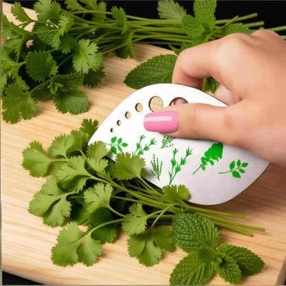 Herb Stripper Tool with 9 Sizing Holes Food-Grade Stainless Steel Leaf Remover for Cooking, Compact Kitchen Gadget with Blade & Safety Cover for collards parsley cilantro goji