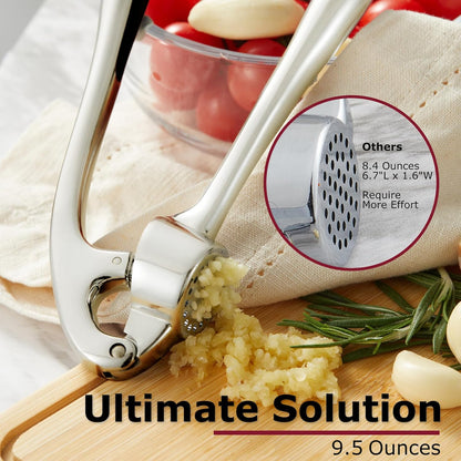 High Effective Garlic Press With Studs, Heavy Duty Garlic Mincer, Easy to Squeeze and Clean, Rust Proof, Ginger Crusher- Imperial Silver