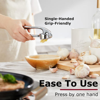 High Effective Garlic Press With Studs, Heavy Duty Garlic Mincer, Easy to Squeeze and Clean, Rust Proof, Ginger Crusher- Imperial Silver