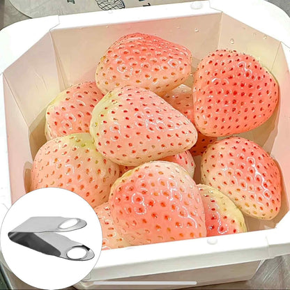 Stainless Steel Strawberry Huller, Fruit Stem Remover Tool for Strawberry, Cherry Tomato, and Small Fruits