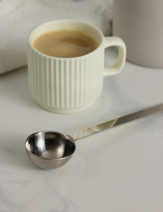 Stainless Steel Coffee Scoop, 2 Tablespoon,Silver