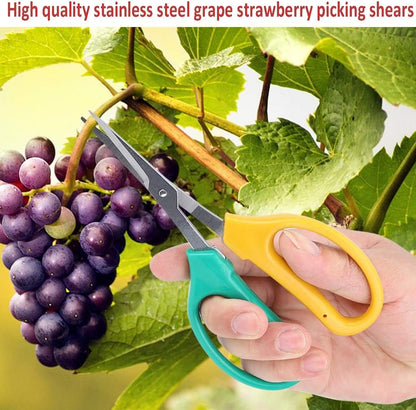 Garden Scissors Stainless Steel Garden Bonsai Pruning Shears (Modern)