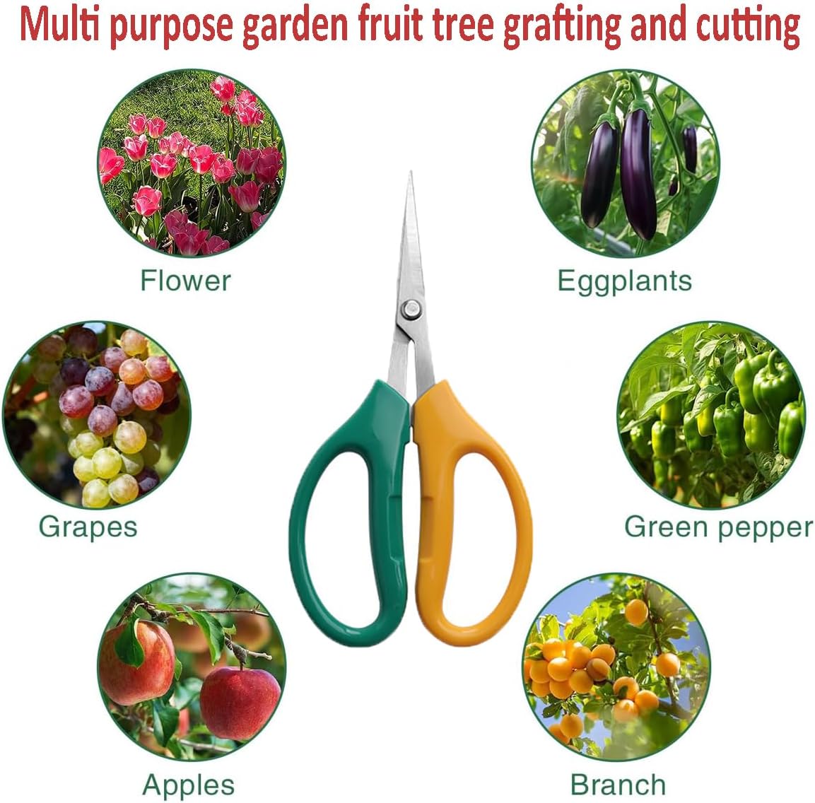 Garden Scissors Stainless Steel Garden Bonsai Pruning Shears (Modern)