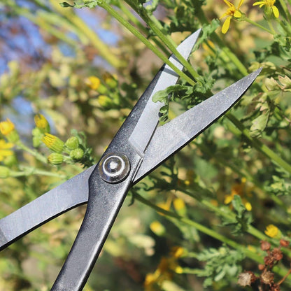 Garden Scissors Stainless Steel Garden Bonsai Pruning Shears (Modern)