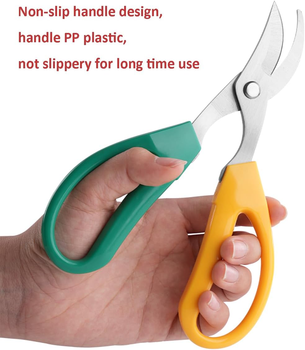 Garden Scissors Stainless Steel Garden Bonsai Pruning Shears (Modern)