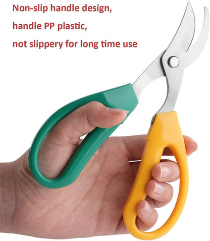 Garden Scissors Stainless Steel Garden Bonsai Pruning Shears (Modern)
