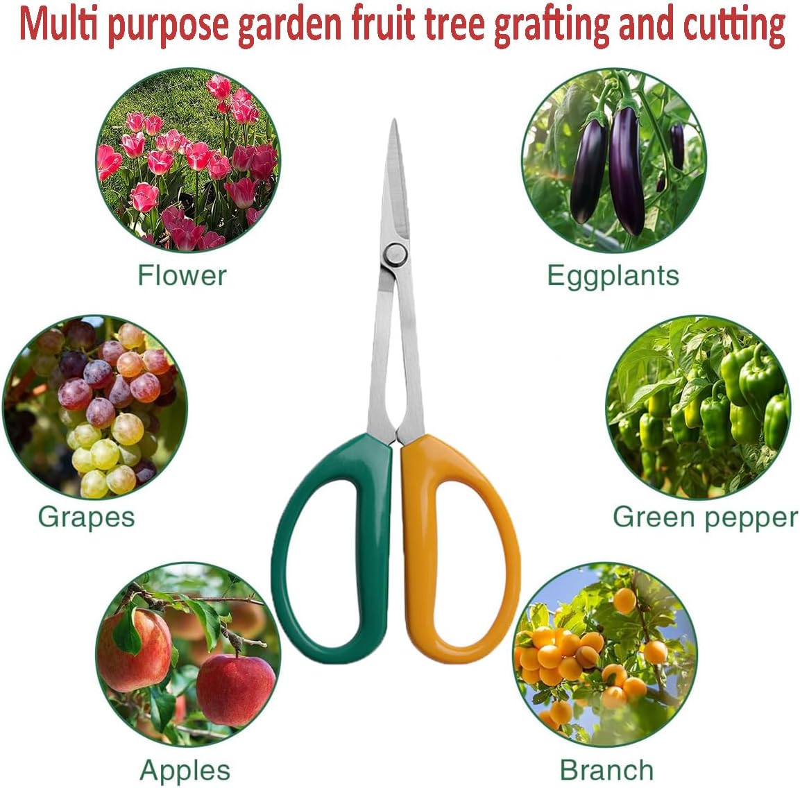 Garden Scissors Stainless Steel Garden Bonsai Pruning Shears (Modern)