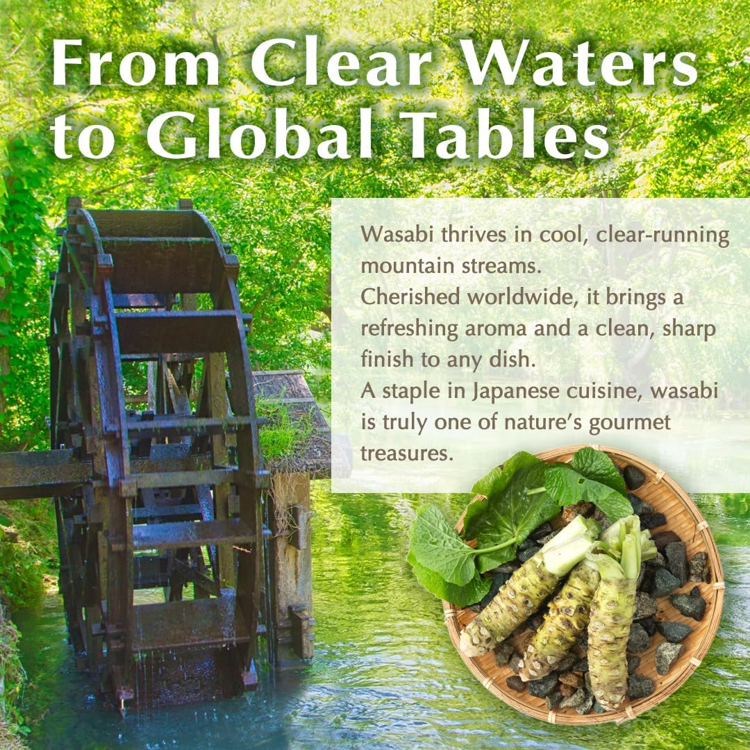 Japanese Wooden Wasabi Grater (Wasabi Oroshi) for Ginger and Garlic with Bamboo Brush Made in Japan