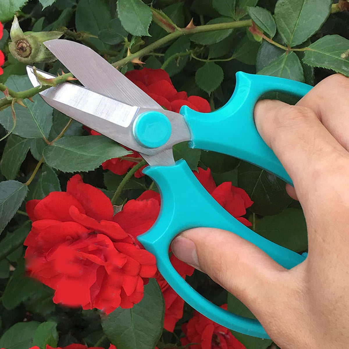 Garden Pruning Shears Scissors with Comfort Grip Handle, Premium Steel Professional Floral Scissors, Perfect for Arranging Flowers, Pruning, Trimming Plants, Gardening Tool (Pink)