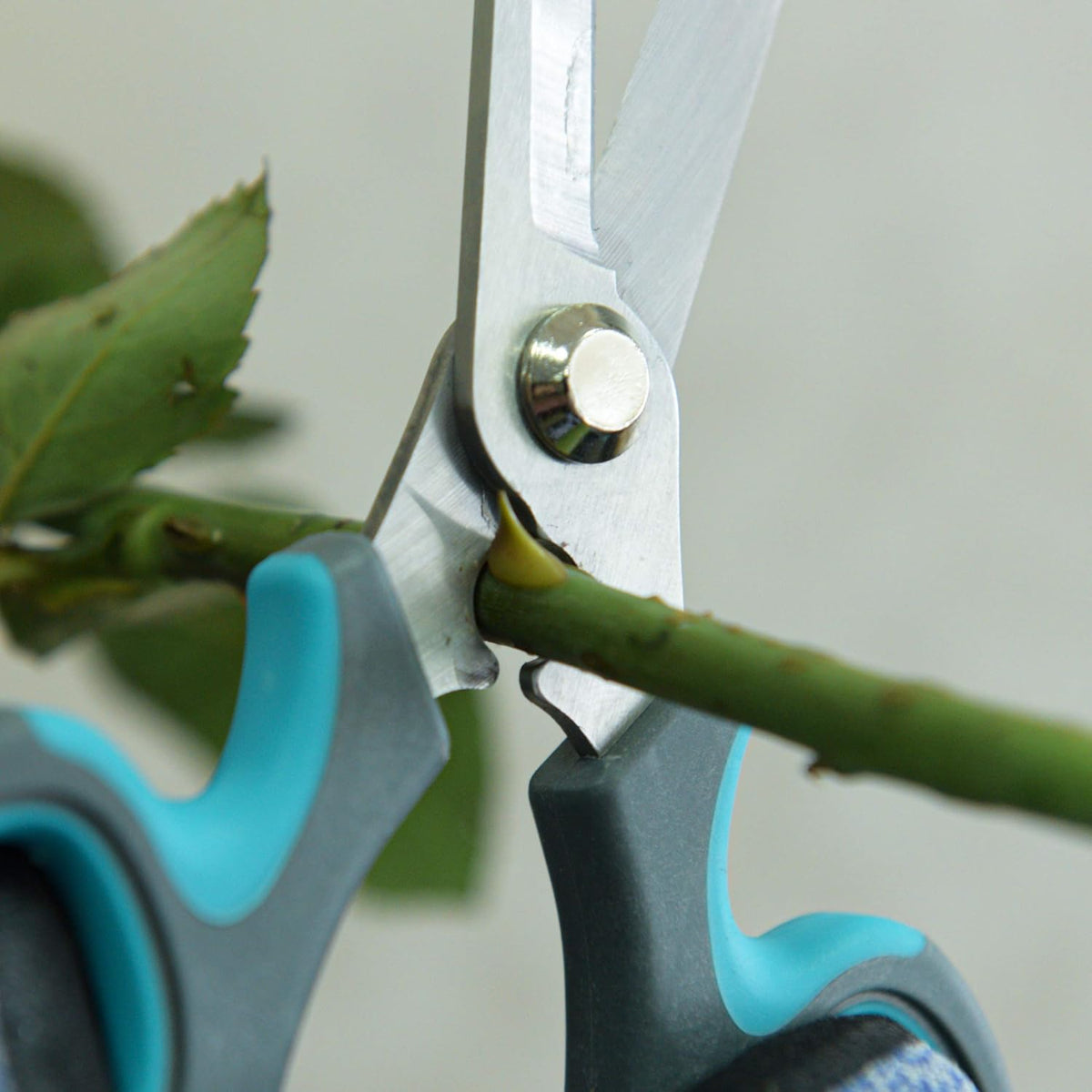 Blue Stainless Steel Floral Shears with Integrated Stab Remover