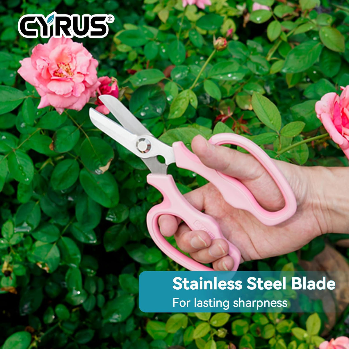 Blue Stainless Steel Floral Shears with Integrated Stab Remover