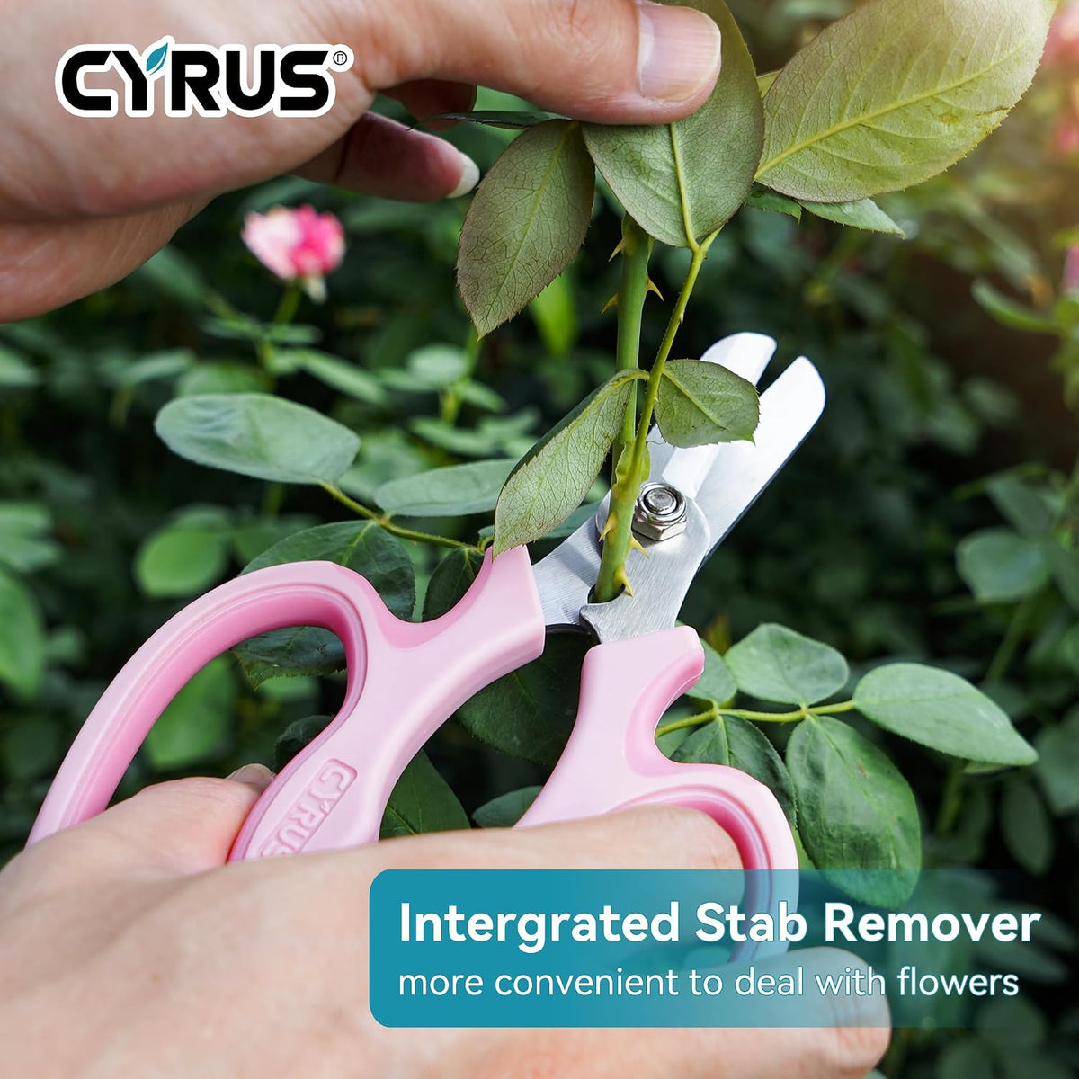 Blue Stainless Steel Floral Shears with Integrated Stab Remover