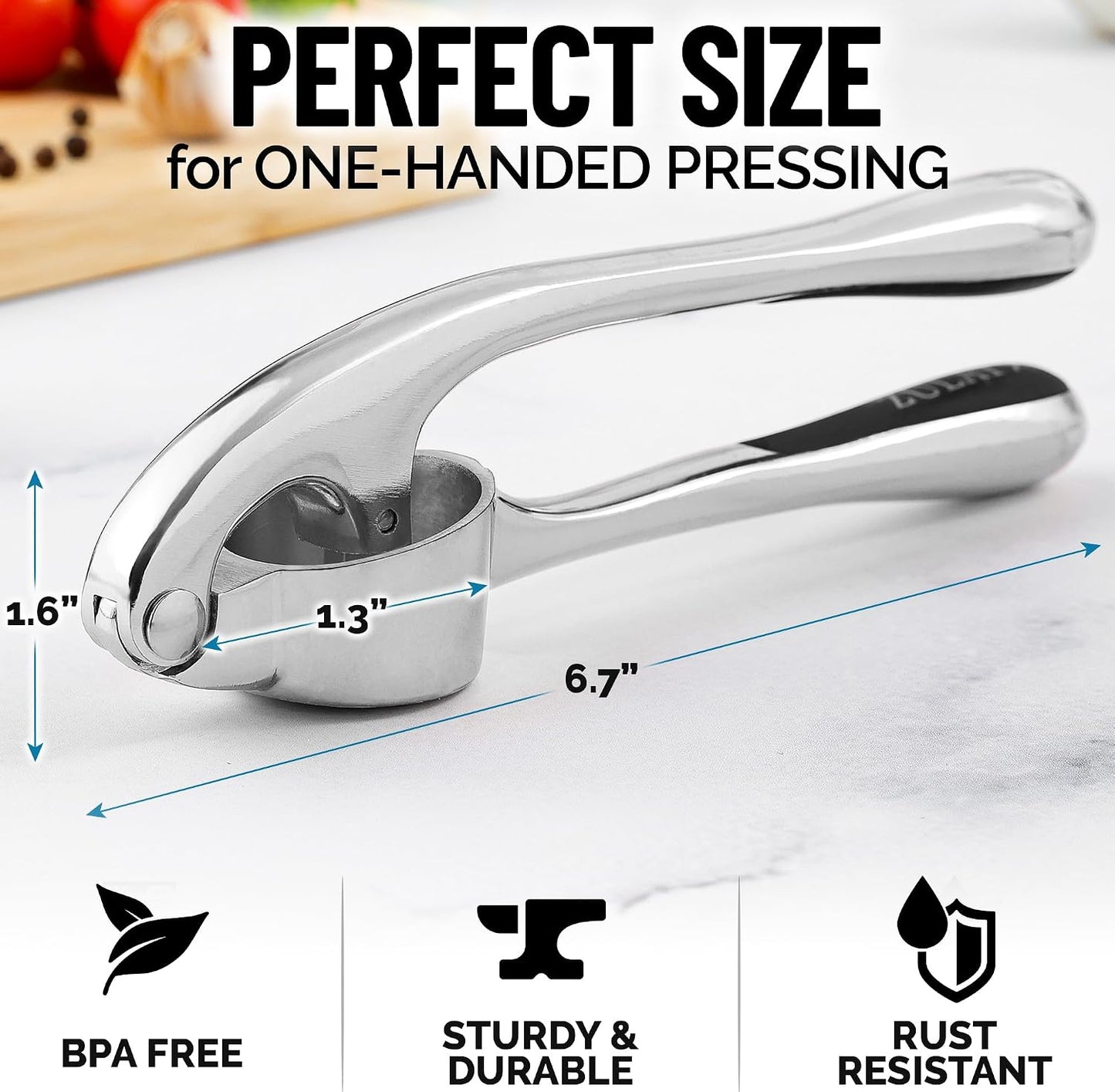 Large Premium Garlic Press Set - Bigger Bowl for Bigger Garlic - Rust Proof Garlic Mincer Tool - Easy-Squeeze, Easy-Clean Silicone Garlic Peeler & Brush (Silver)