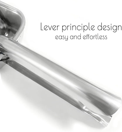 Lemon Squeezer Stainless Steel,Lime Citrus Lemon Juicer Manual Squeezer