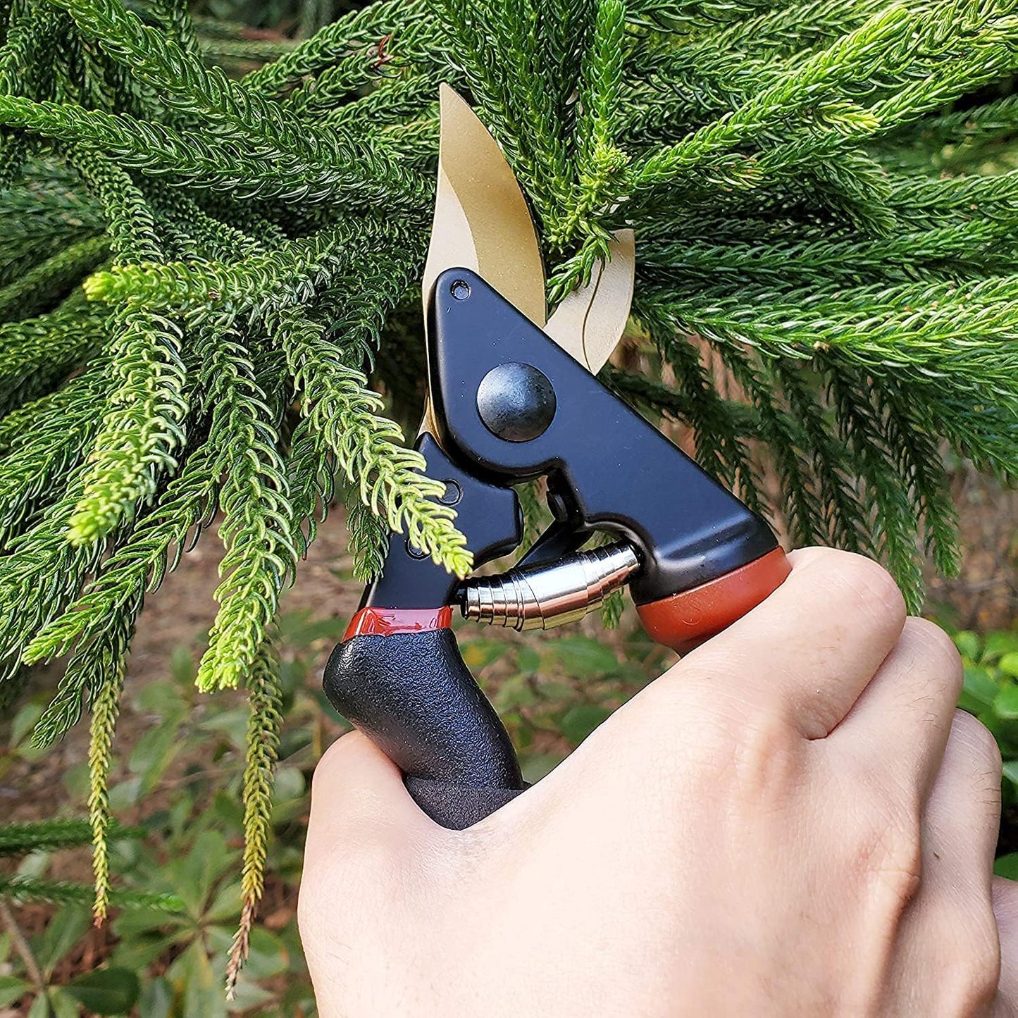 8" Professional Premium Bypass Titanium Pruning Shears(GPPS-1003) | Titanium coated SK5 steel blade, Ergonomic non-slip handle, Sap groove anti-stick design, Cuts up to 3/4" branches
