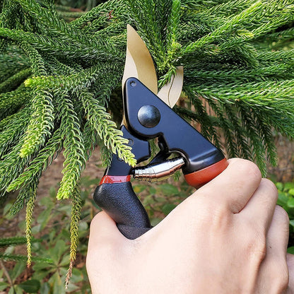 8" Professional Premium Bypass Titanium Pruning Shears(GPPS-1003) | Titanium coated SK5 steel blade, Ergonomic non-slip handle, Sap groove anti-stick design, Cuts up to 3/4" branches