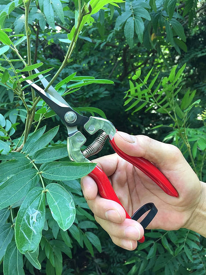 8" Professional Premium Bypass Titanium Pruning Shears(GPPS-1003) | Titanium coated SK5 steel blade, Ergonomic non-slip handle, Sap groove anti-stick design, Cuts up to 3/4" branches
