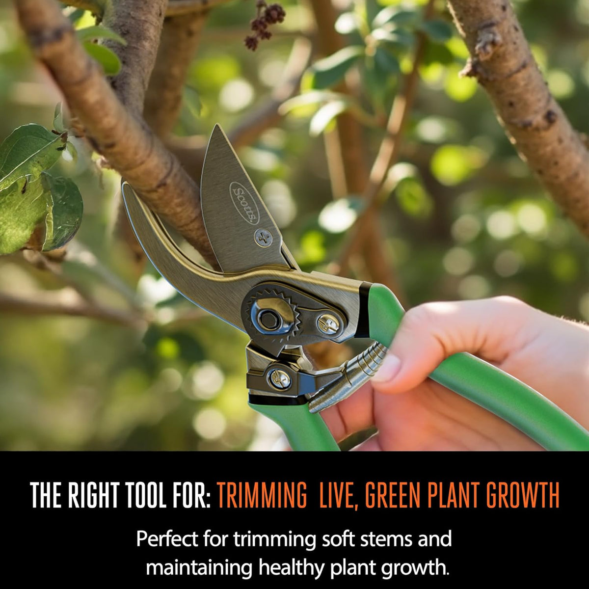 8 in. All-Purpose Steel Garden Utility Shears with Serrated Blades – Comfort Grip Yard and Garden Scissors for Pruning Plants, Flowers, and Herbs