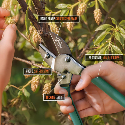 8 in. All-Purpose Steel Garden Utility Shears with Serrated Blades – Comfort Grip Yard and Garden Scissors for Pruning Plants, Flowers, and Herbs