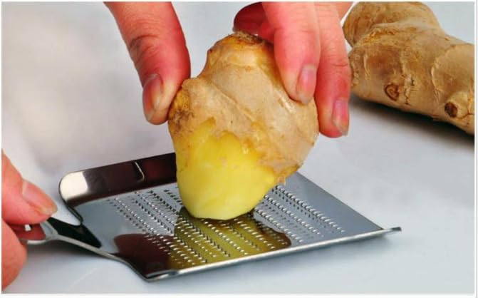 Stainless Steel Garlic Ginger Fruits Root Vegetable Grater Grinder Spoon for Kitchen (Small)