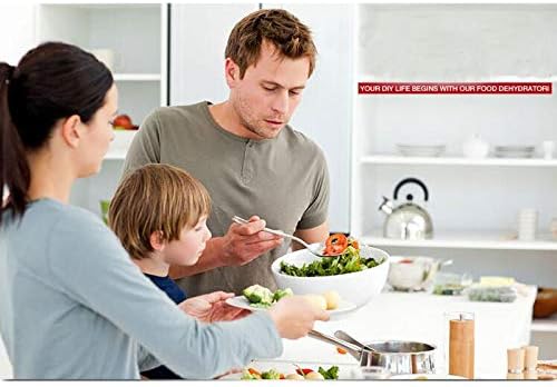 INTBUYING Commercial 5.5 Gallon Lettuce Salad Electric Spinner Dryer Washer Stainless Steel Vegetable Water Dehydrator Salad Dryer Vegetable Fruit Salad Spinner Dryer 220V