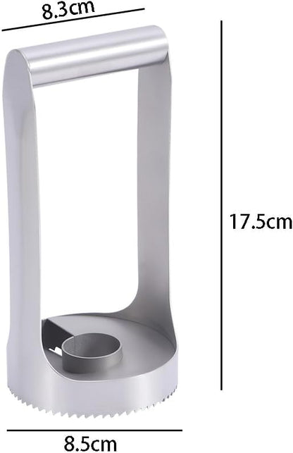 Stainless Steel Pineapple Slicer Cutter Peeler,Pineapple Corer Slicer Fruit Slicer Core Remover Kitchen Tool for Diced Fruit Rings Fruits Gadget