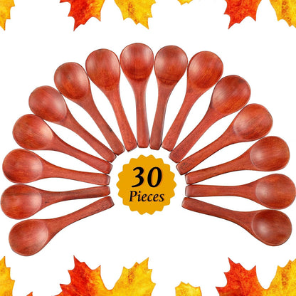 30 Pcs Mini Wooden Spoons, Small Wood Spoon for Jars, Light Brown