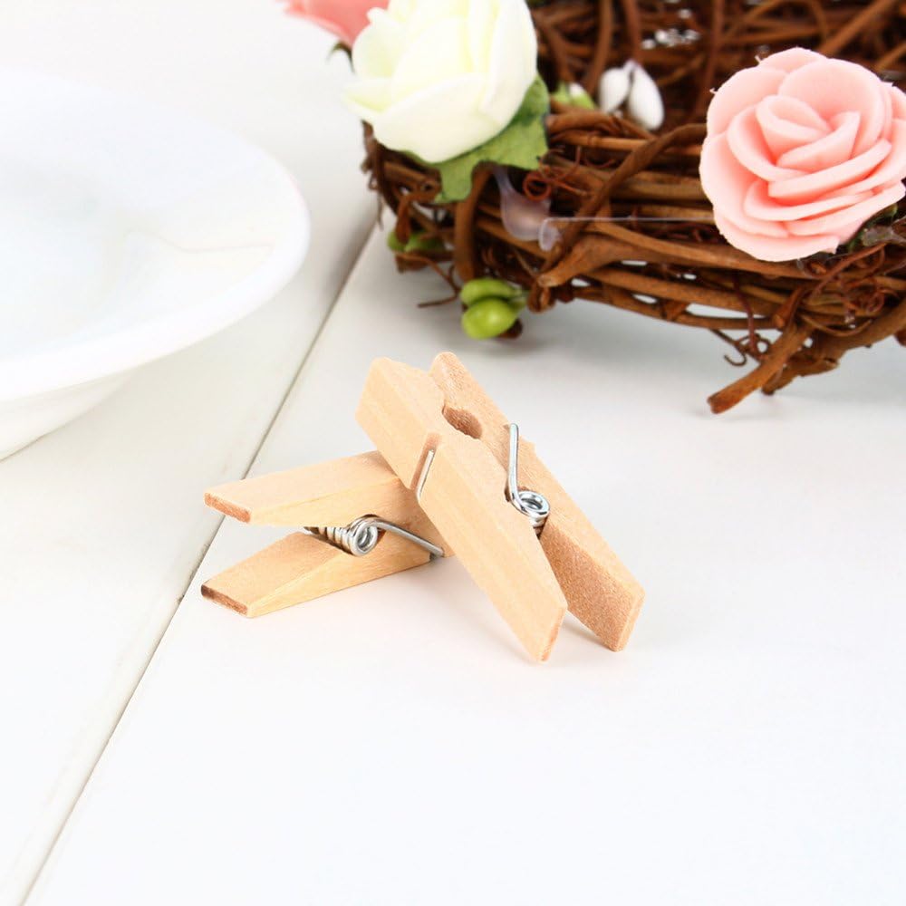 Sturdy 1 Inch Mini Wooden Craft Clothespins 100pcs