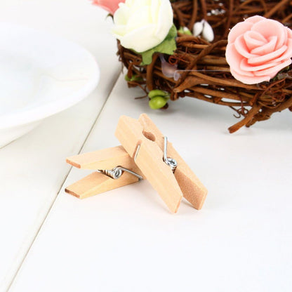 Sturdy 1 Inch Mini Wooden Craft Clothespins 100pcs