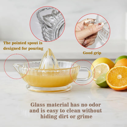 Glass Citrus Juicer Reamer with Handle & Pour Spout, Manual Lemon Squeezer