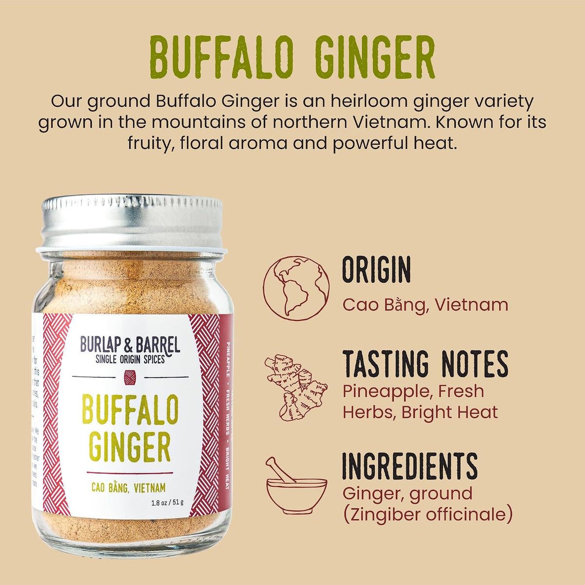Burlap & Barrel Black Garlic Powder – Rich, Savory Flavor – Perfect for Roasted Proteins & Vegetables – Black Garlic Seasoning – As Seen On Shark Tank - 2.2oz Jar