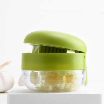 Mini Garlic Chopper and Press, ABS and Stainless Steel Garlic Slicer Handheld Ginger Masher with Storage Case