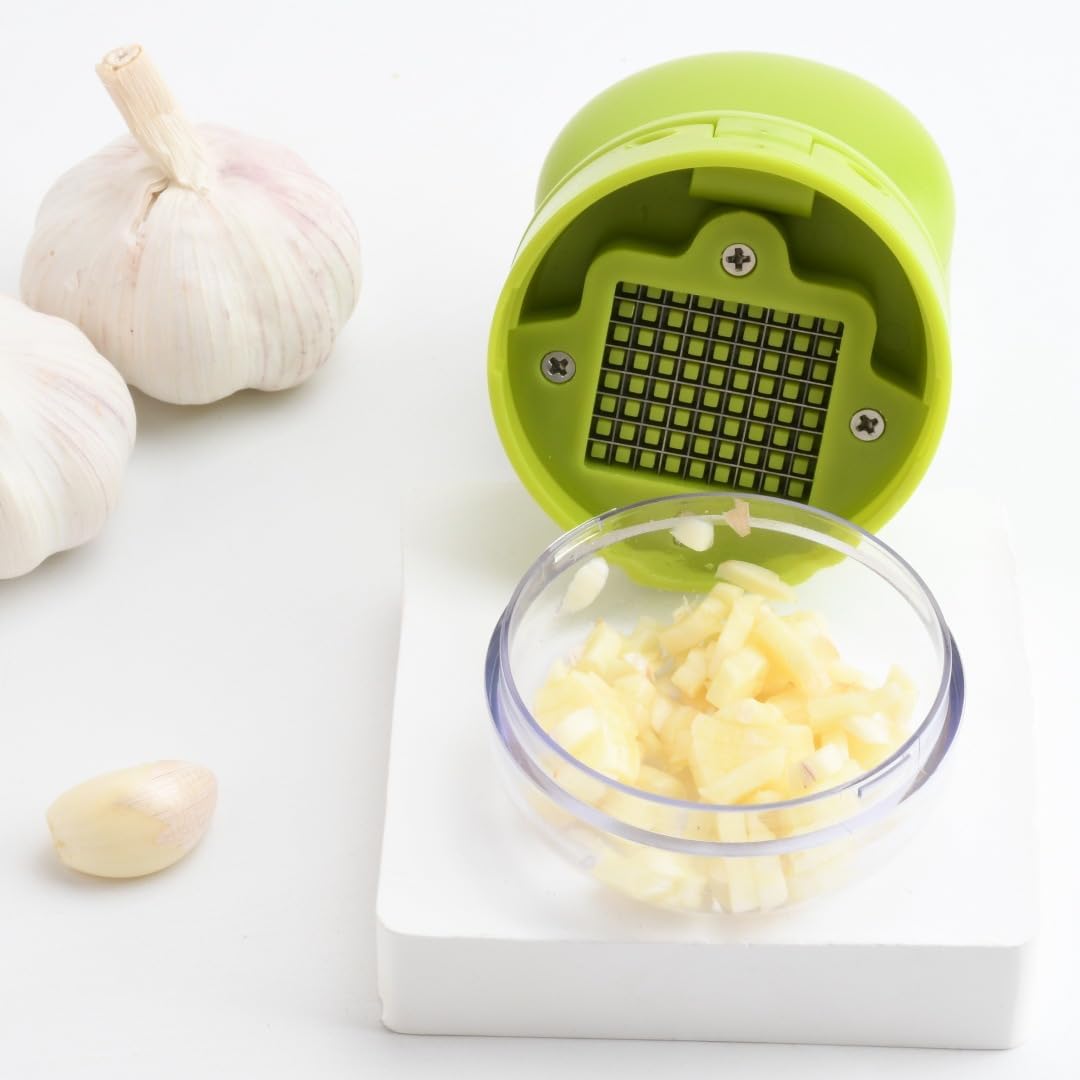 Mini Garlic Chopper and Press, ABS and Stainless Steel Garlic Slicer Handheld Ginger Masher with Storage Case