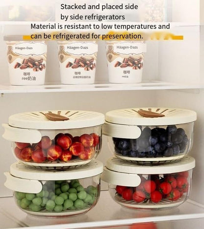 Quick Drain Fruit and Vegetable Washer Bowl with Lid, Clear Glass Container, White Perforated Cover