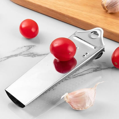 1Set Stainless Steel Multifunctional Kitchen Ginger Garlic Nutmeg Grater with Brush, Nut Walnut Lemon Hand Planer Tool Lemon Zester for Kitchen Hard Cheese Citrus Fruits Garlic Nut and Vegetables