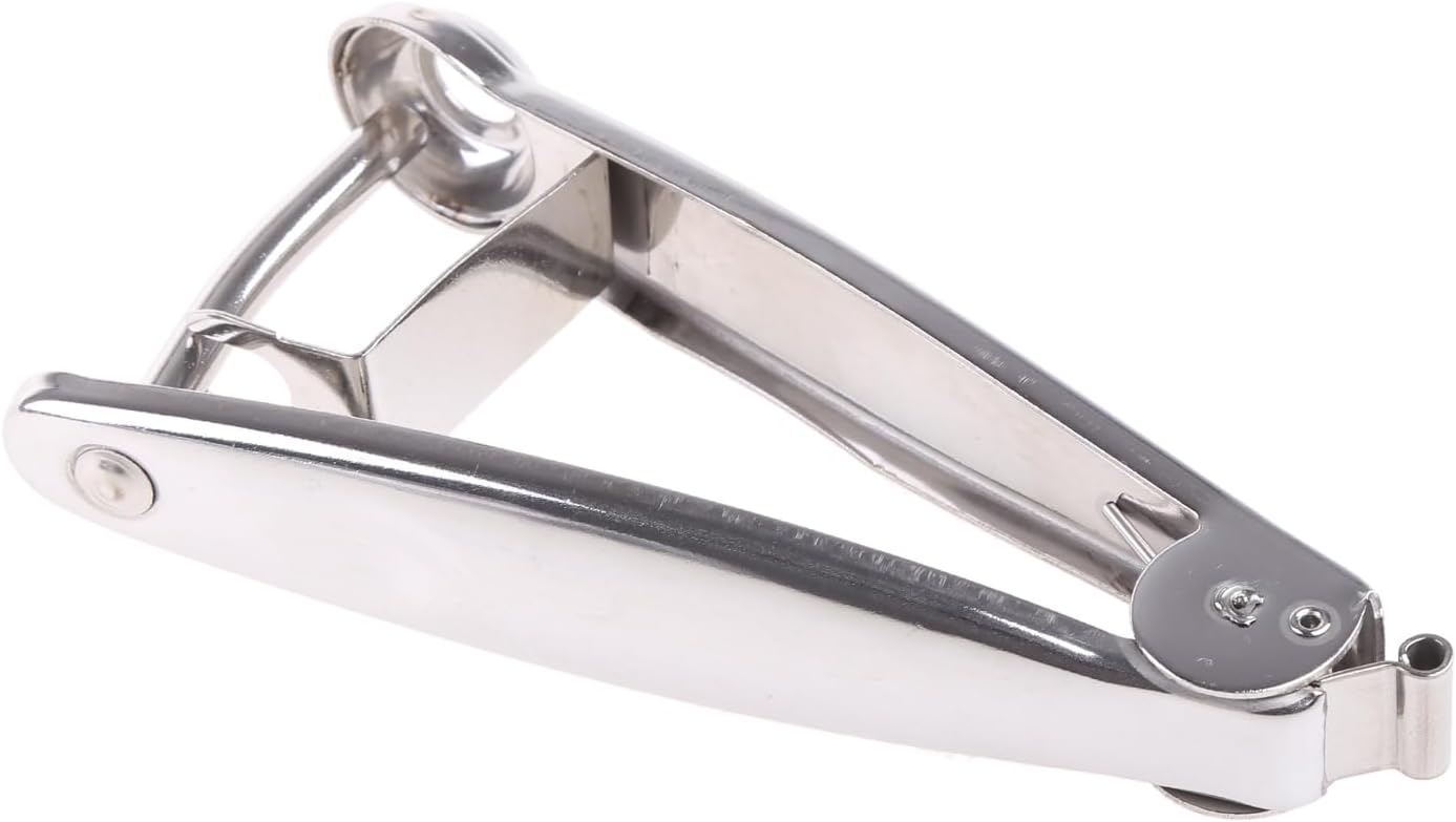 Pitter Tool 304 Stainless Steel Core Remover for Plums, Cherries, Chinese Dates, Grapes